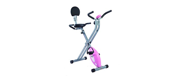 Sunny Health & Fitness Folding Recumbent Bike