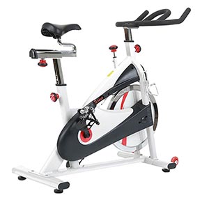 Sunny Health & Fitness SF-B1509 Review